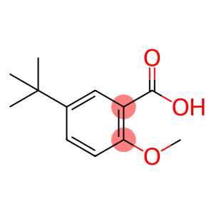 5-(叔丁基)-2-甲氧基苯甲酸