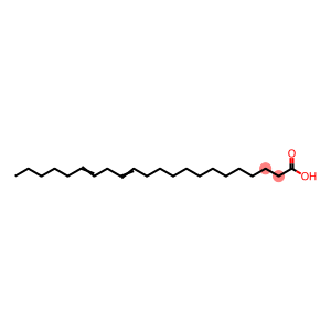 13,16-docosadienoic acid