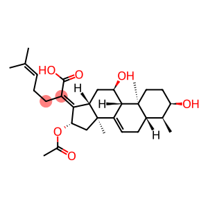 18,29-Dinordammara-7,17(20),24-trien-21-oic acid, 16-(acetyloxy)-3,11-dihydroxy-9-methyl-, (3α,4α,11α,13α,14β,16β,17Z)- (9CI)