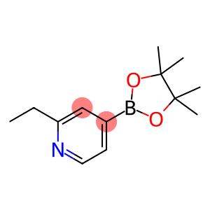 2-乙基-4-(4,4,5,5-四甲基-1,3,2-二氧杂硼烷-2-基)吡啶