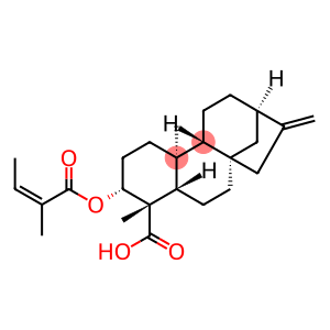 3α-当归酰基氧基-等效-贝壳杉-16-烯酸
