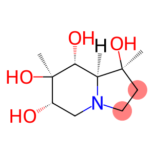 1,6,7,8-Indolizinetetrol,octahydro-1,7-dimethyl-,[1S-(1alpha,6bta,7alpha,8bta,8abta)]-(9CI)
