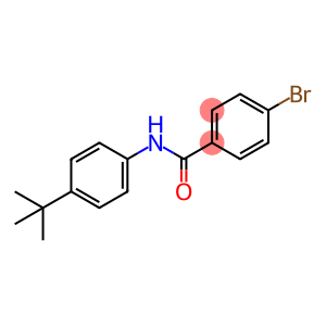 N-(4-tert-butylphenyl)-4-bromobenzamide