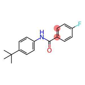 N-(4-tert-Butylphenyl)-4-fluorobenzaMide, 97%