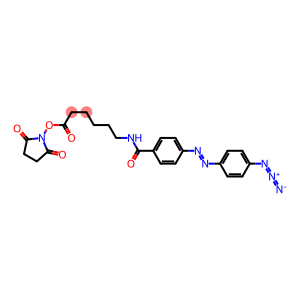 N-(4-(4-azidophenylazo)benzoyl)-6-aminohexyl-N'-oxysuccinimide ester