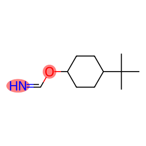 Methanimidic acid, 4-(1,1-dimethylethyl)cyclohexyl ester (9CI)