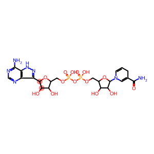 dihydronicotinamide formycin dinucleotide