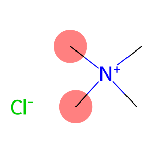 TETRAMETHYLAMMONIUM CHLORIDE SOLUTION*MO LECULAR