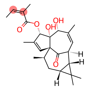 20-Deoxyingenol 3-angelate