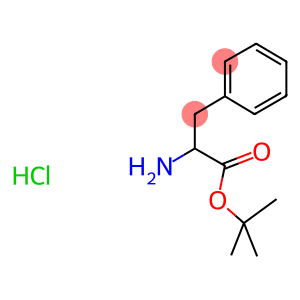 H-DL-PHE-OTBU HCL