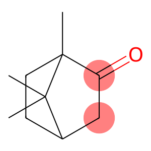 bornan-2-one