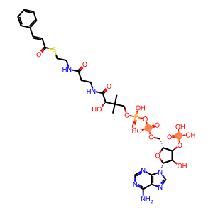 (E)-cinnamoyl-CoA