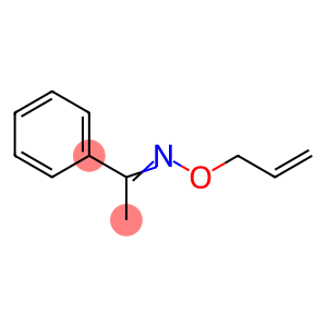 acetophenone O-allyloxime