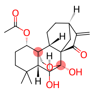 疏展香茶菜宁B