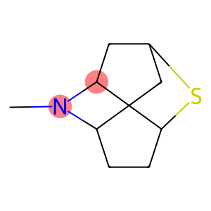 2,5-Methanothieno[3,2-b]pyridine,octahydro-4-methyl-(9CI)