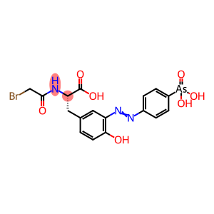 N-(bromoacetyl)-3-((4-arsonophenyl)azo)tyrosine
