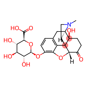 Oxymorphone 3-b-D-Glucuronide