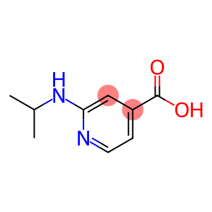 4-Pyridinecarboxylic acid, 2-[(1-methylethyl)amino]-