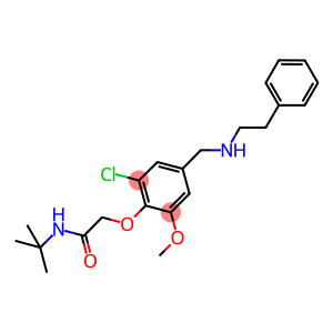 N-(tert-butyl)-2-(2-chloro-6-methoxy-4-{[(2-phenylethyl)amino]methyl}phenoxy)acetamide