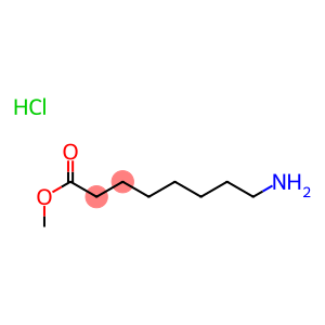 Octanoic acid, 8-amino-, methyl ester, hydrochloride