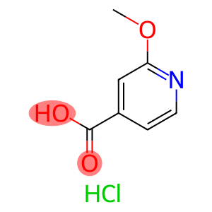 2-METHOXY-ISONICOTINIC ACID HYDROCHLORIDE