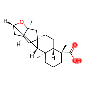 (4R,16S)-11β,16-Epoxykauran-18-oic acid