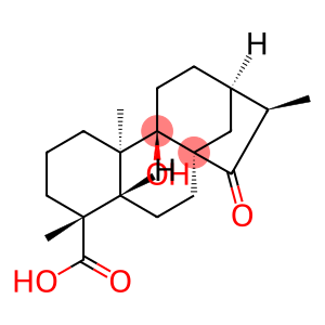 等效-9-羟基-15-氧代-19-异贝壳杉烷酸