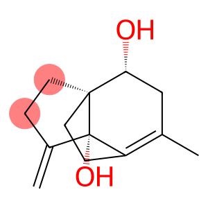 3a,7-Ethano-3aH-indene-4,7a(1H)-diol,tetrahydro-6-methyl-1-methylene-,(3aS,4R,6S,7S,7aS)-(9CI)