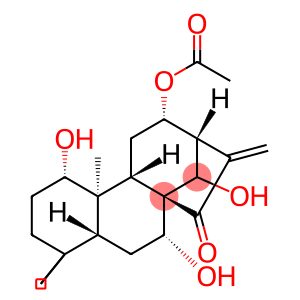 香茶菜乙素