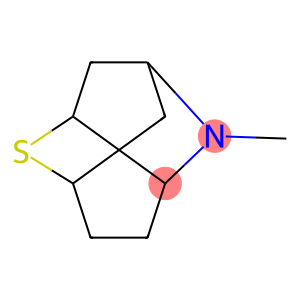 2,5-Methanothiopyrano[3,2-b]pyrrole,octahydro-1-methyl-(9CI)