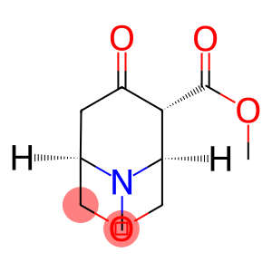 3-Oxa-9-azabicyclo[3.3.1]nonane-6-carboxylicacid,9-methyl-7-oxo-,methylester,(1R,5S,6R)-rel-(9CI)