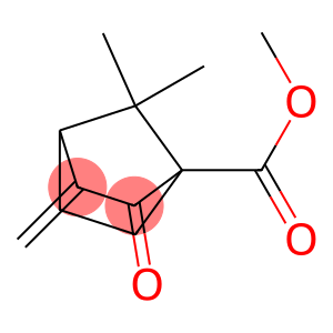 Bicyclo[2.2.1]heptane-1-carboxylic acid, 7,7-dimethyl-3-methylene-2-oxo-, methyl ester (9CI)