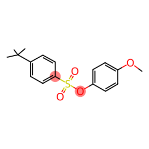 4-methoxyphenyl 4-tert-butylbenzenesulfonate