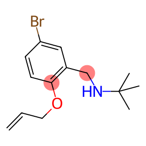 N-[2-(allyloxy)-5-bromobenzyl]-N-(tert-butyl)amine