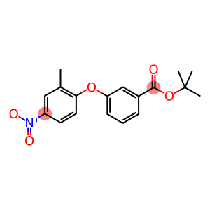 TERT-BUTYL 3-(2-METHYL-4-NITROPHENOXY)BENZOATE