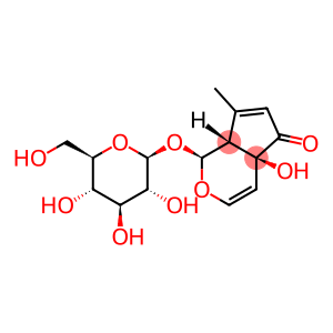 Cyclopenta[c]pyran-5(1H)-one,1-(b-D-glucopyranosyloxy)-4a,7a-dihydro-4a-hydroxy-7-methyl-,(1S,4aS,7aR)-