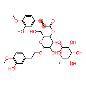 β-D-Glucopyranoside, 2-(3-hydroxy-4-methoxyphenyl)ethyl 3-O-(6-deoxy-α-L-mannopyranosyl)-, 4-[3-(3-hydroxy-4-methoxyphenyl)-2-propenoate]