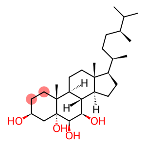 5 alpha-ergostane-3 beta,5,6 beta,7 beta-tetrol