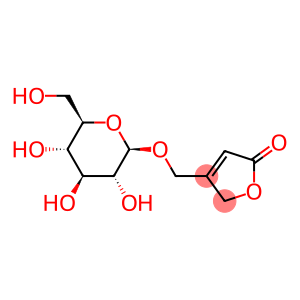 siphonoside