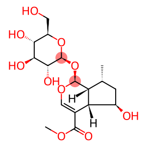 penstemonoside