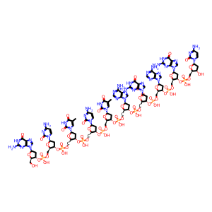 XBA I RESTRICTION ENZYME