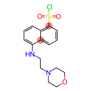 5-(2-MORPHOLIN-4-YL-ETHYLAMINO)-NAPHTHALENE-1-SULFONYL CHLORIDE