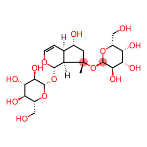 地黄苷C