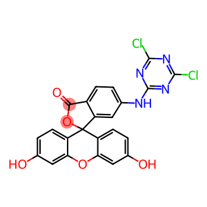 6-(4,6-dichlorotriazinyl)aminofluorescein