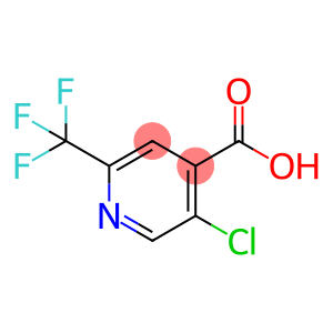 2-三氟甲基-5-氯异烟酸