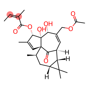 20-O-Acetylingenol-3-angelate