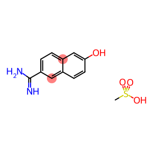 6-AMIDINO-2-NAPHTHOL METHANESULFONIC ACID