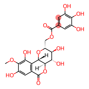 11-O-Galloylbergenin