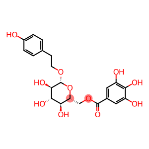 β-D-Glucopyranoside, 2-(4-hydroxyphenyl)ethyl, 6-(3,4,5-trihydroxybenzoate)