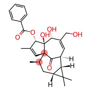 3-O-Benzoylingenol